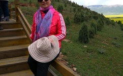 天使怪盗国语版